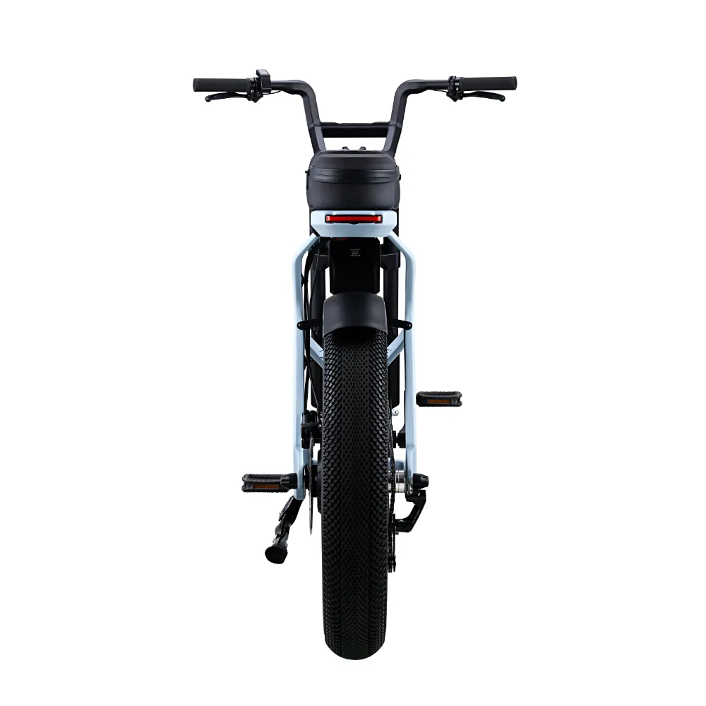 ER-01 ELECTRIC BICYCLE