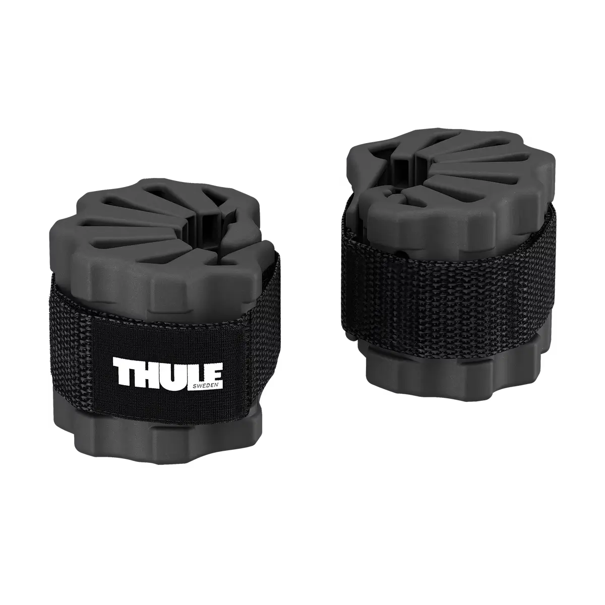 Thule 自行車保