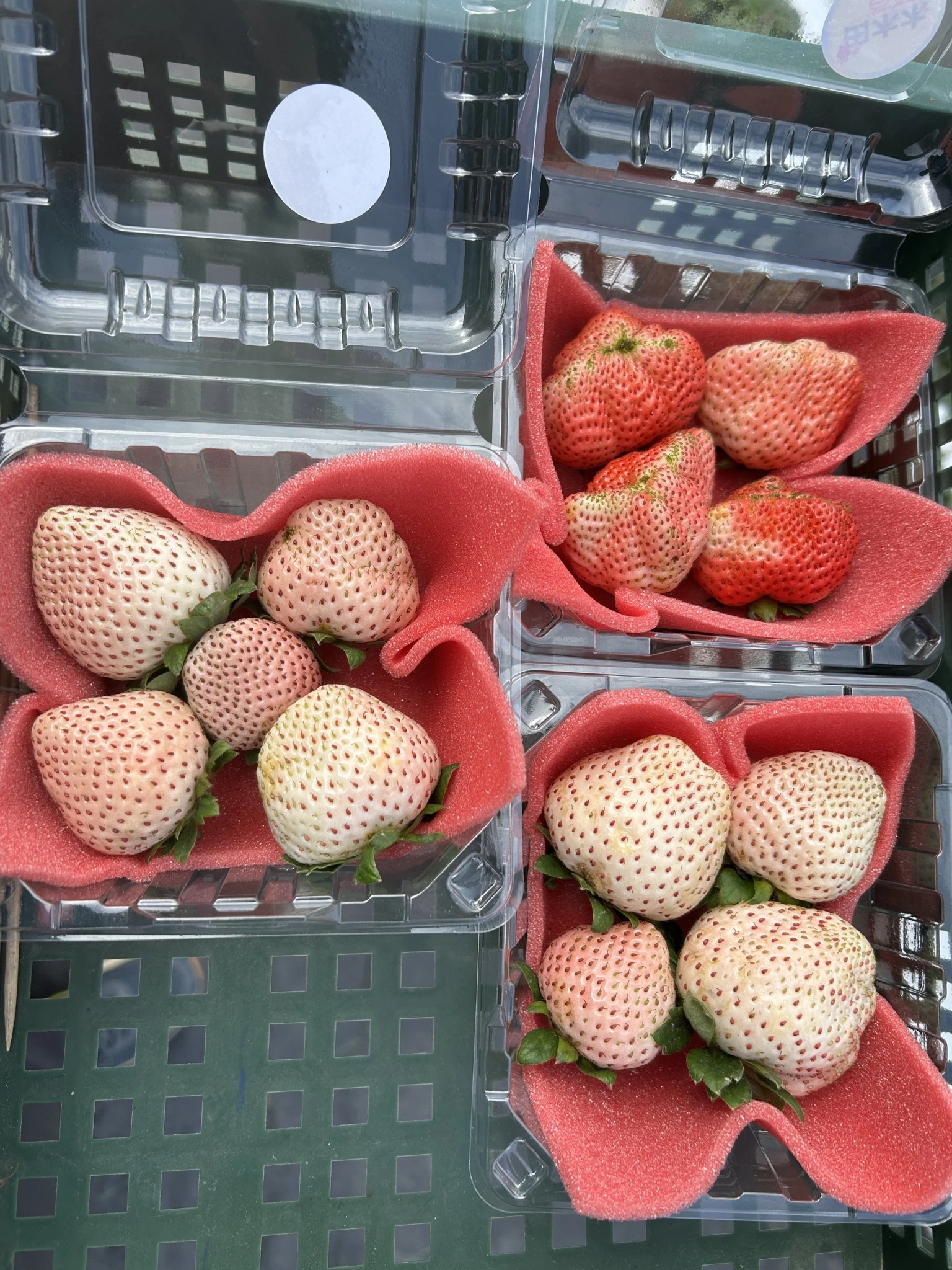 無農藥友善耕種