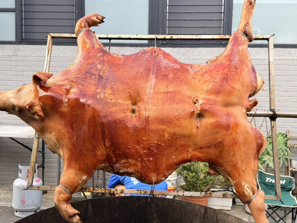 高雄市六龜區場次