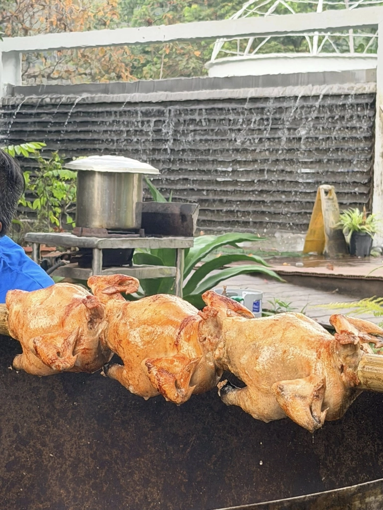 高雄市六龜區場次