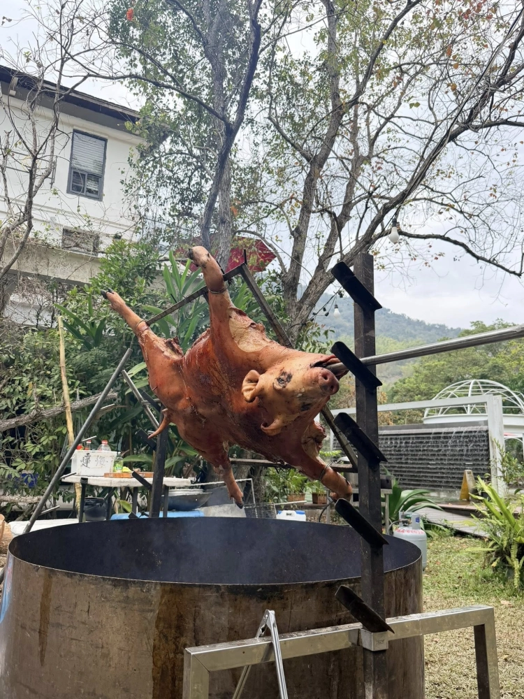 高雄市六龜區場次