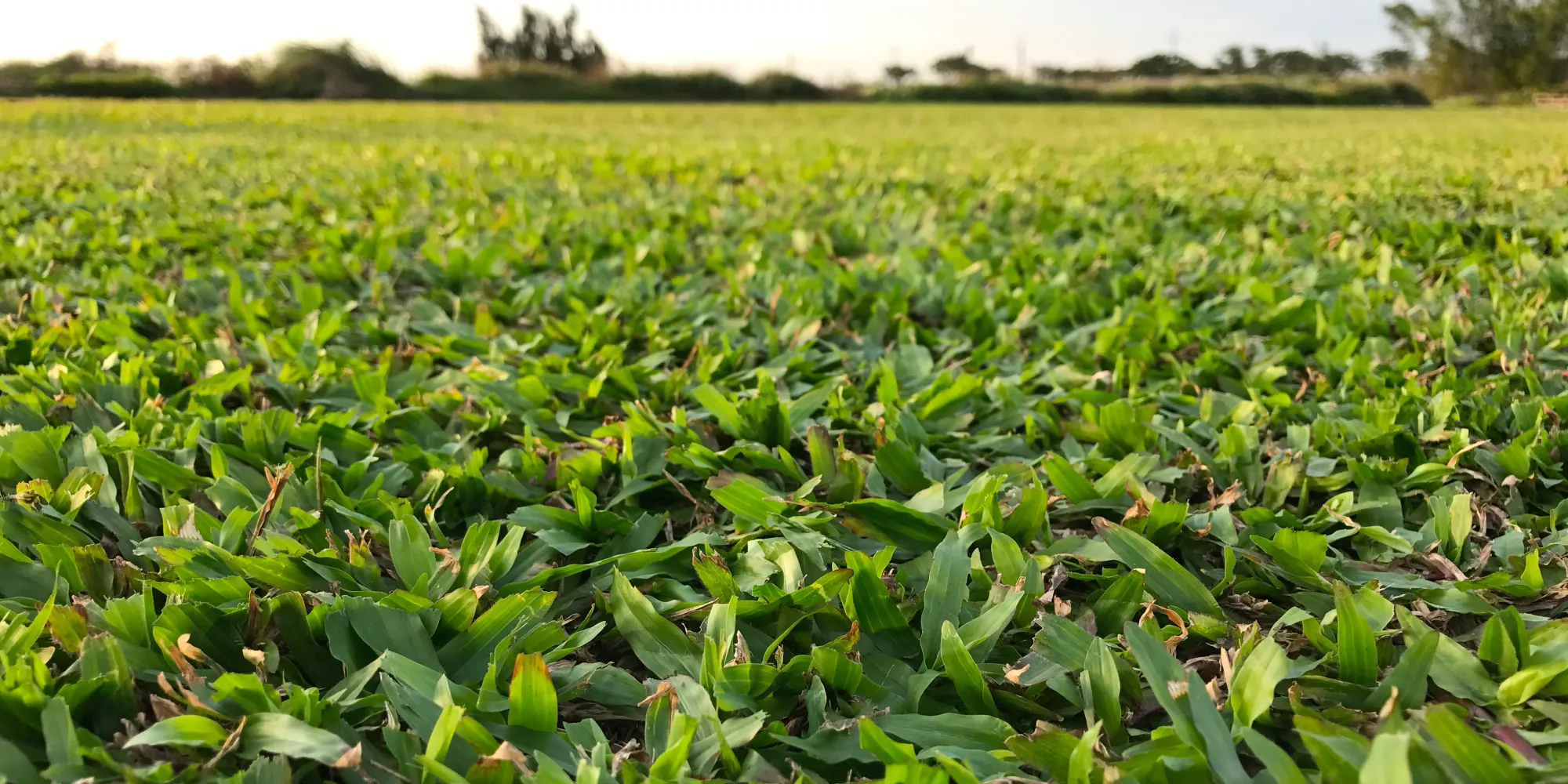 太盟水土保持工程-水土保持工程,舊屋翻新,苗栗水土保持工程,苗栗舊屋翻新
