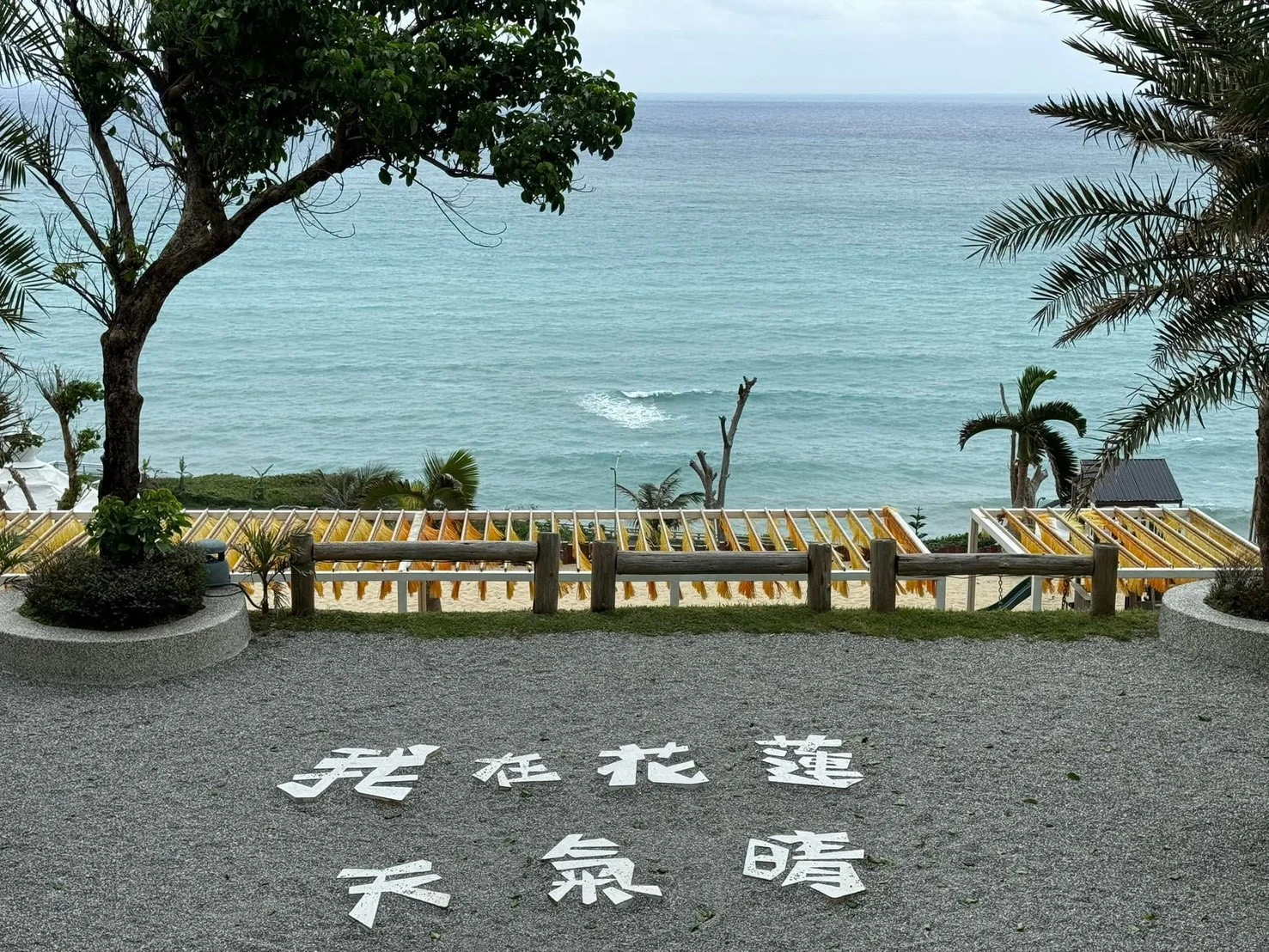 包車旅遊推薦柚子旅遊｜好友一起出發，收藏戶外體驗的精彩回憶┃台中包車┃南投包車┃