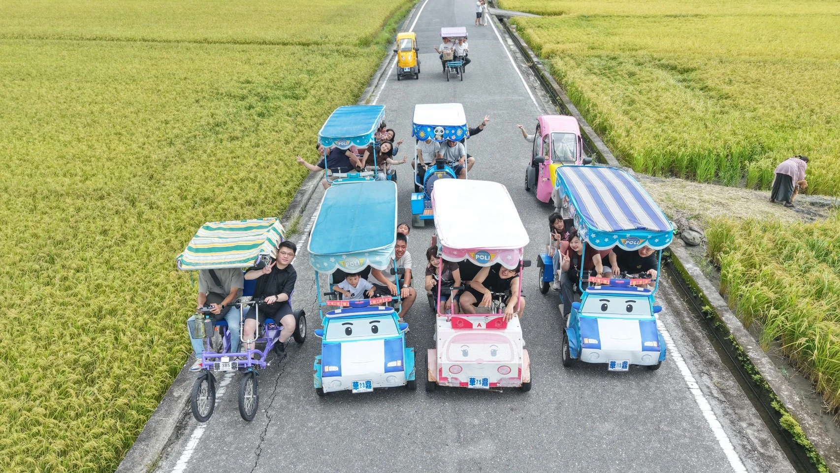台東家族旅行彩色遊園車排列在田野道路的畫面
