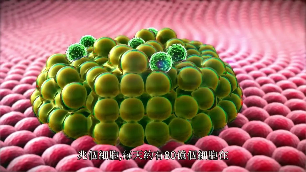 學太極理論改善亞健康