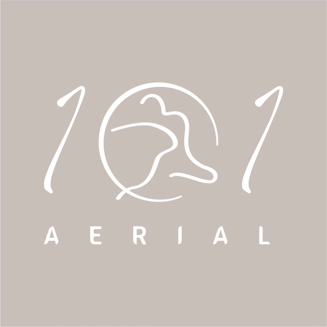 101空中藝術