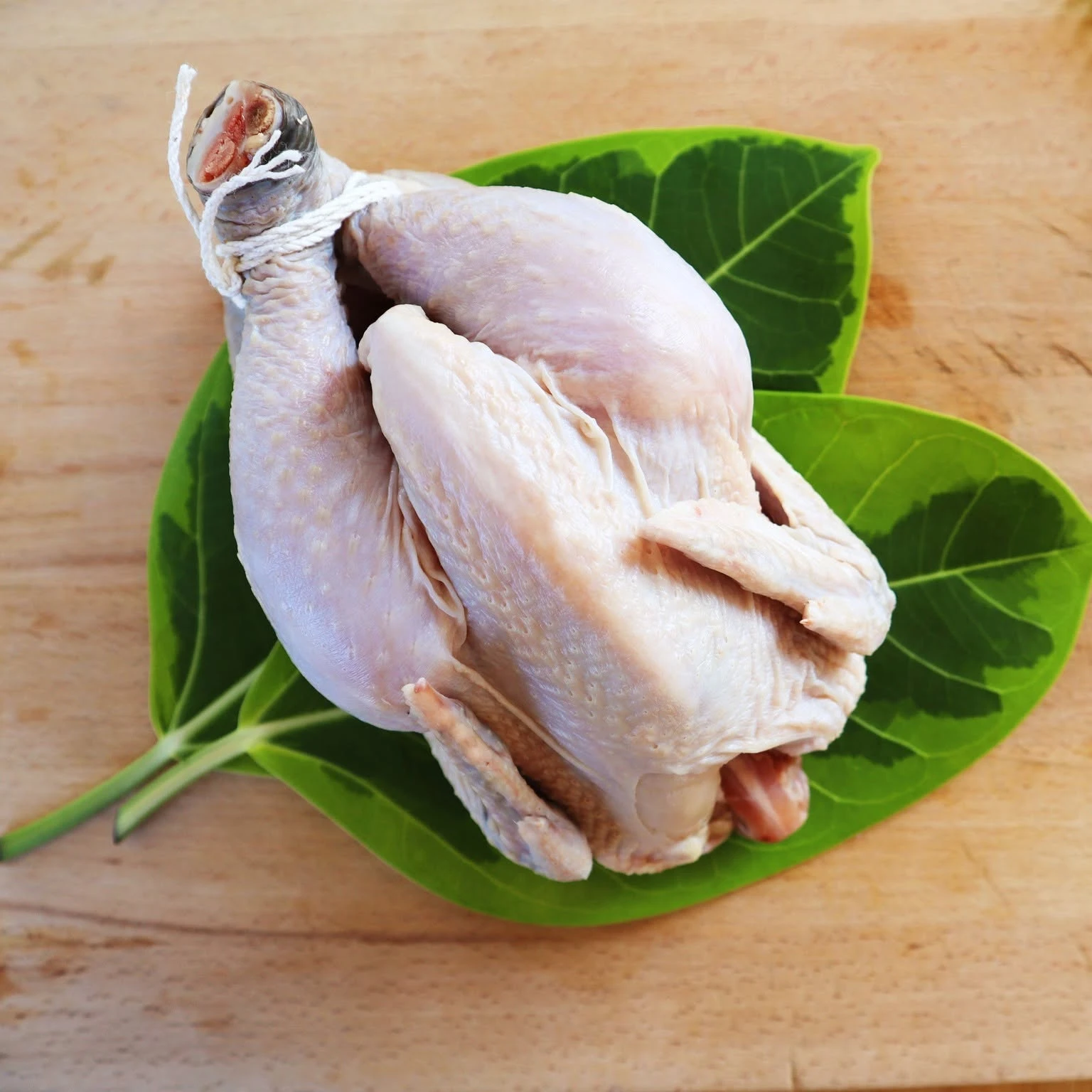 冷凍雞肉好嗎？