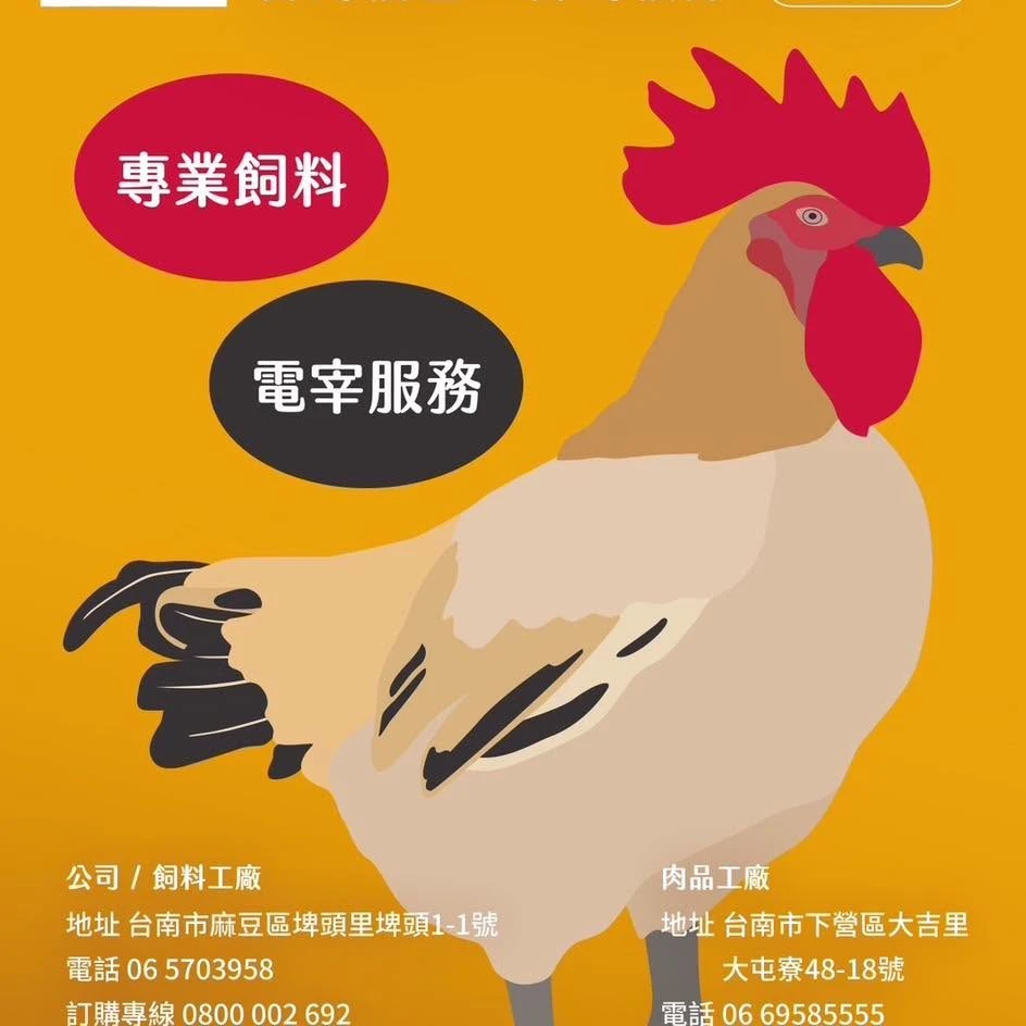 雞精怎麼挑？