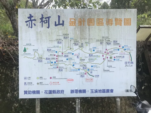 凱西的生日