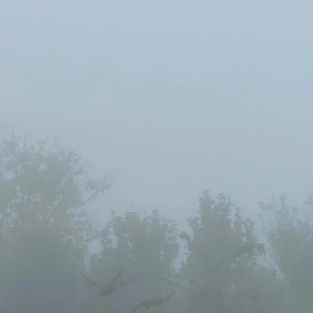 原來住在霧裡是這種感覺
