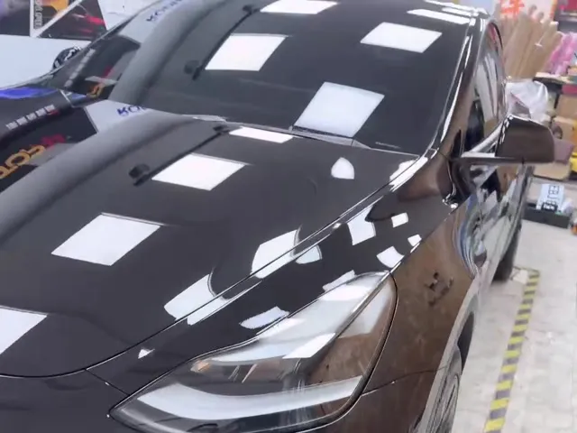 Tesla Model Y Coating