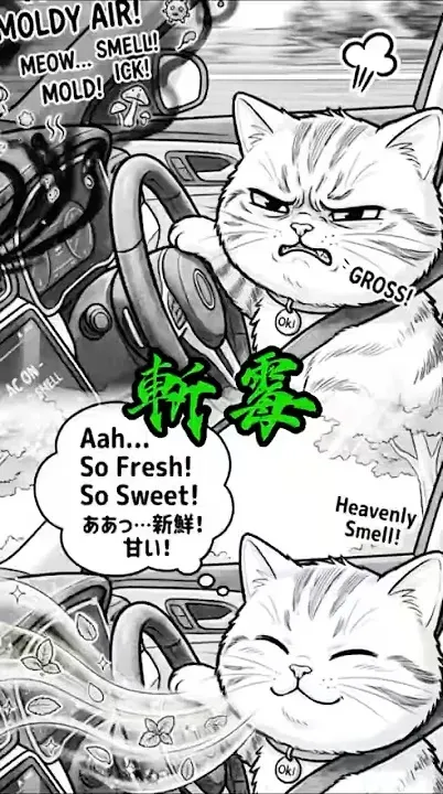 開店 11 年的一點真心話：除了看車，這次想請大家聽聽歌