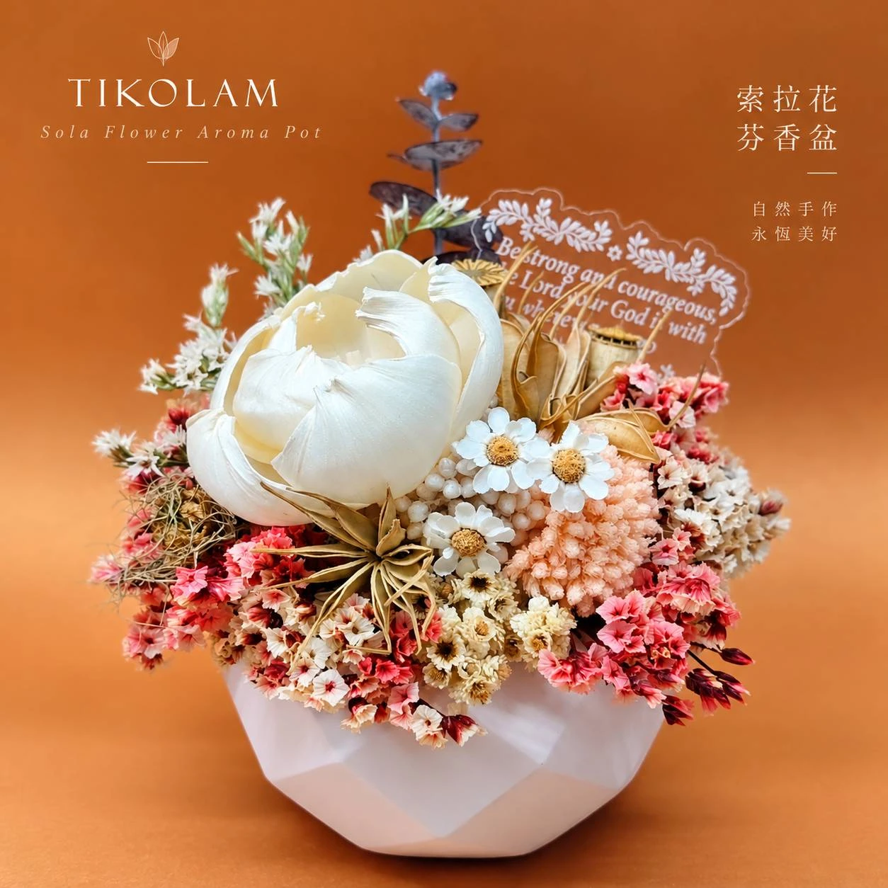 索拉花芬香盆
