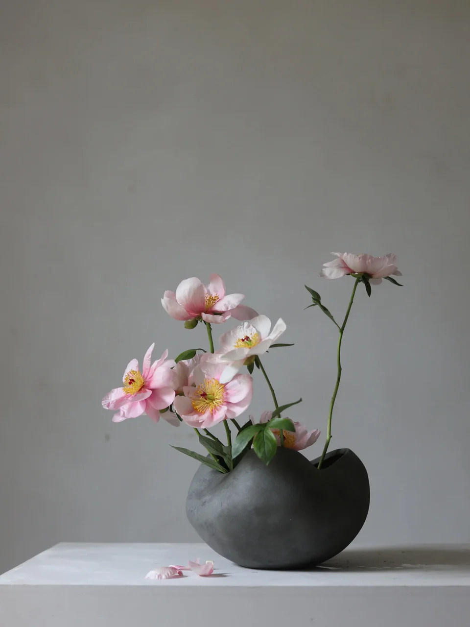 弧形碗,大 - 深灰色