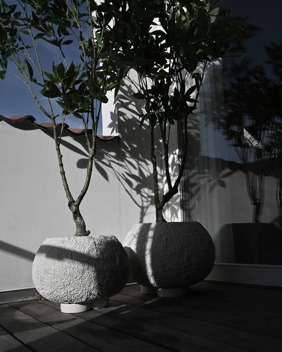 海膽花盆,中 - 蜂巢紋