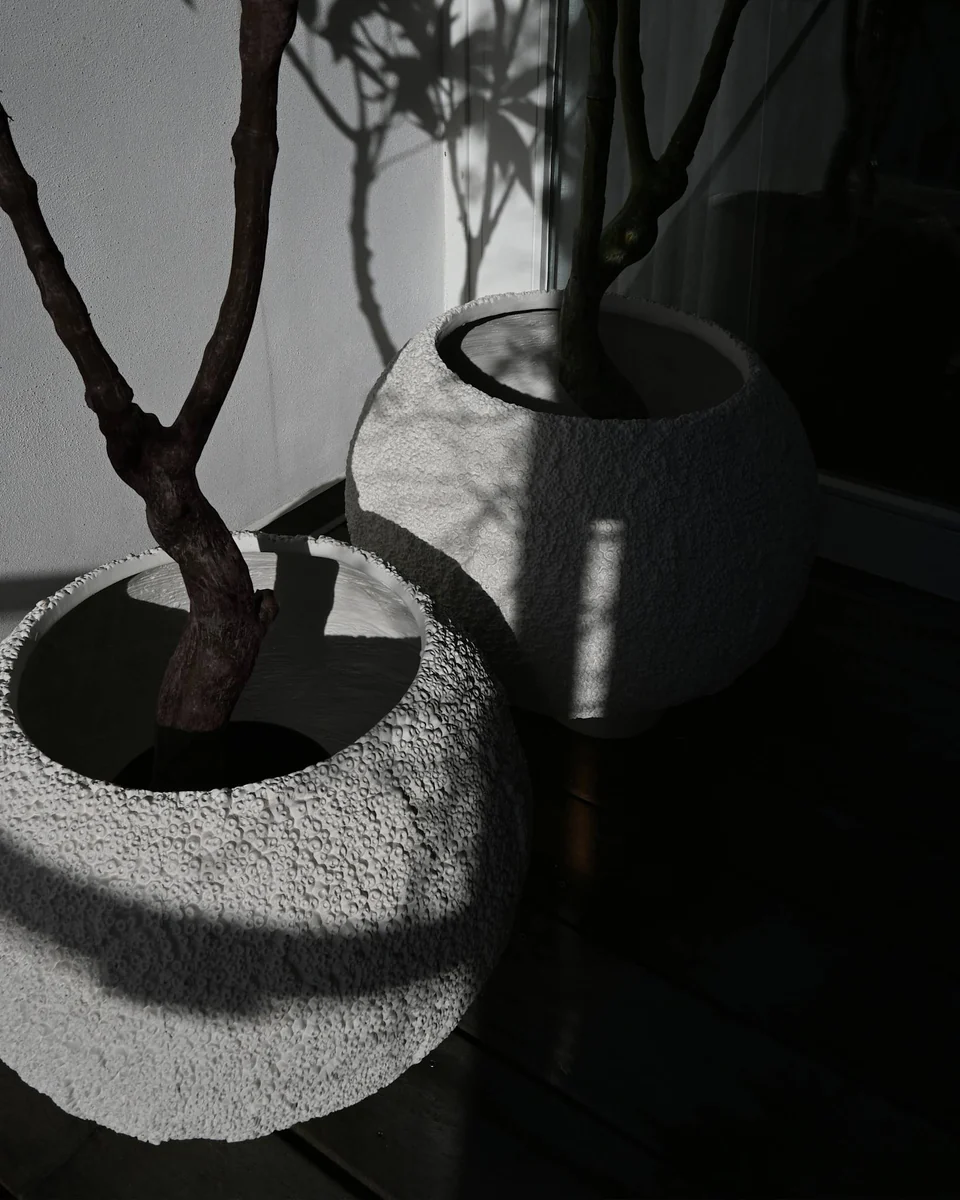 海膽花盆,中 - 蜂巢紋