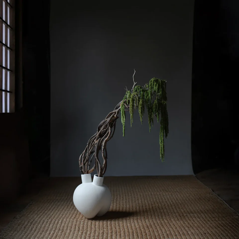 相撲花瓶,牛角 - 骨白色