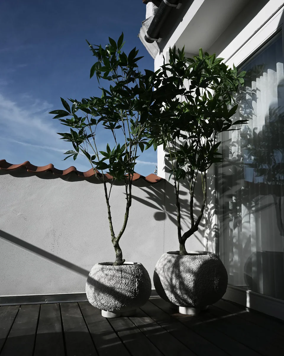 海膽花盆,中 - 蜂巢紋