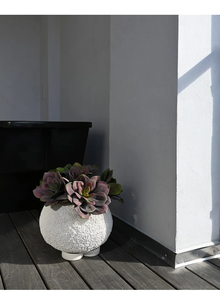 海膽花盆,小 - 蜂巢紋