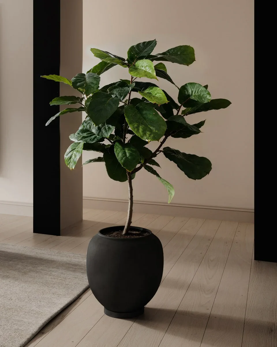 素直植栽盆,大 - 黑色