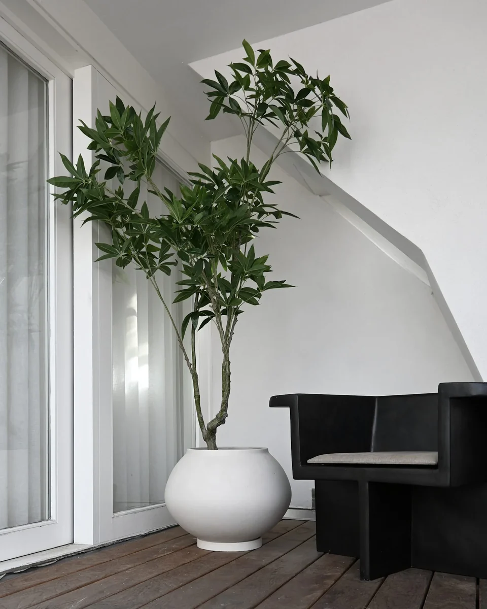 素直花盆,特大 - 白樺色