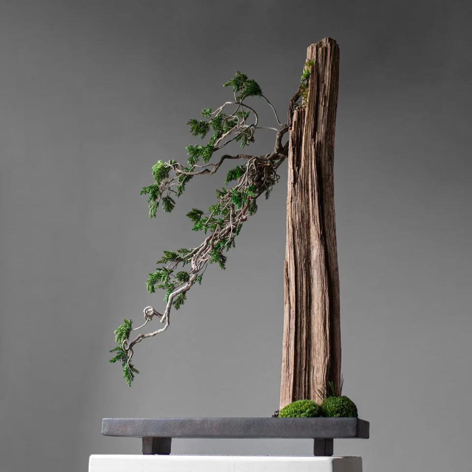 Oka托盤 - 咖啡色