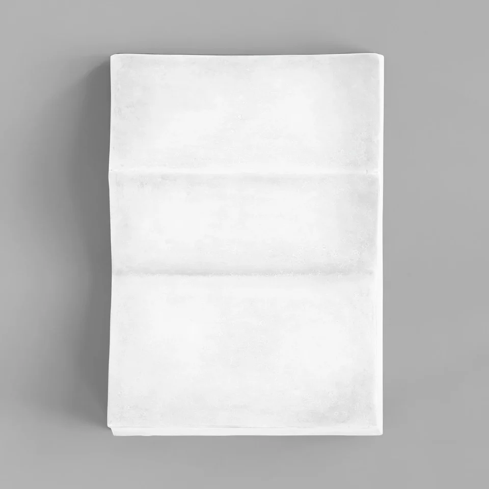 Sculpt 雕塑藝術壁飾,人像,大 - 粉筆白