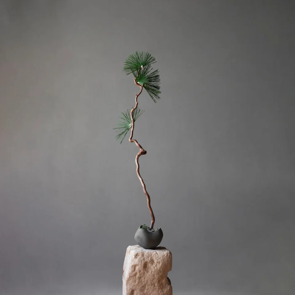 弧形碗,迷你 - 深灰色