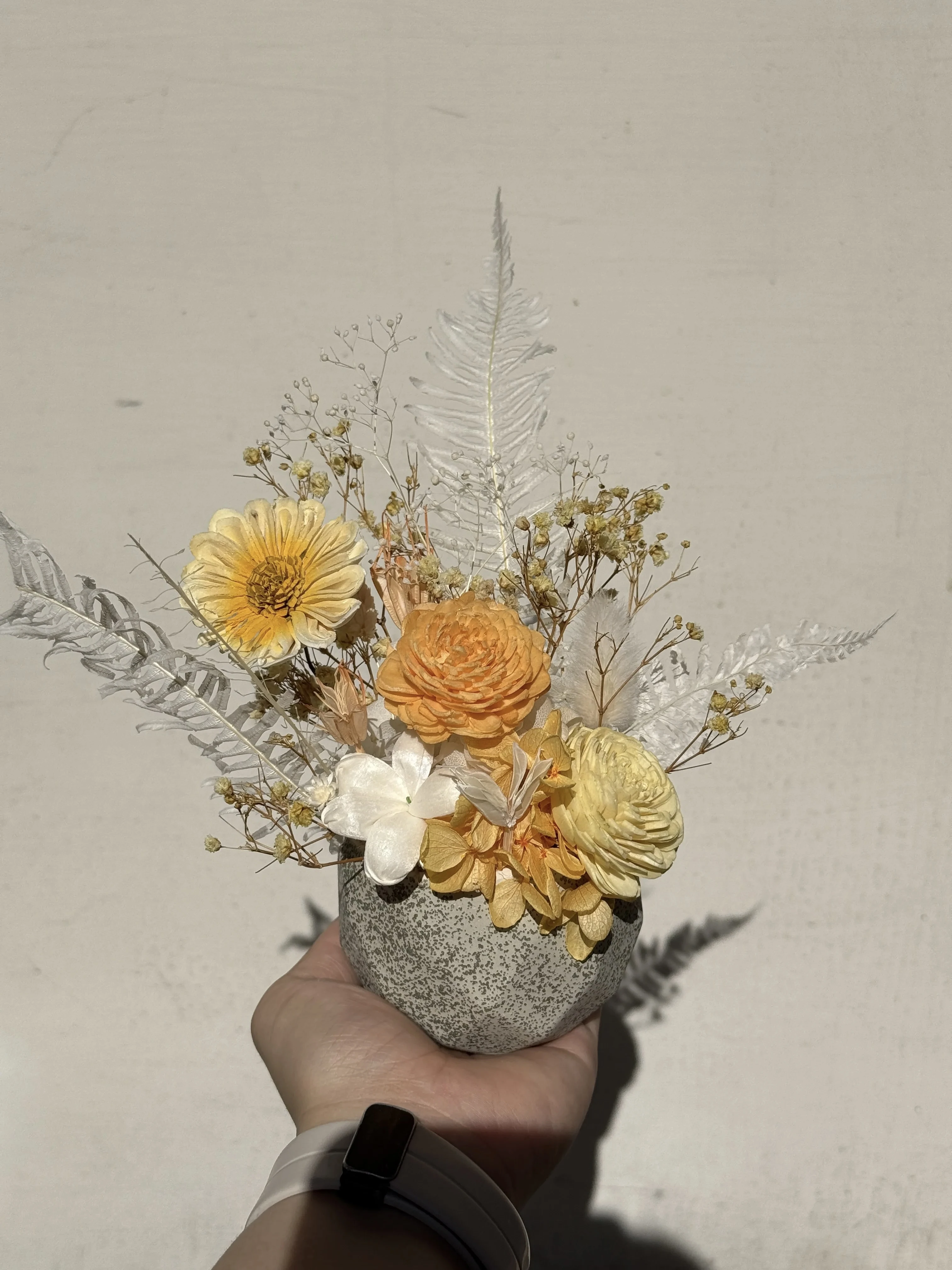 恆香花語-永生盆花