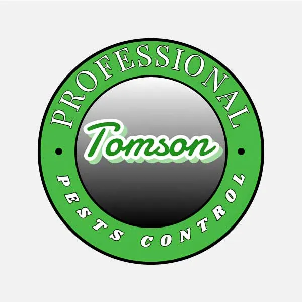 蟑螂會影響食品安全嗎？對人體有什麼危害？|高雄除蟑螂|高雄除蟲公司|高雄除蟑螂推薦