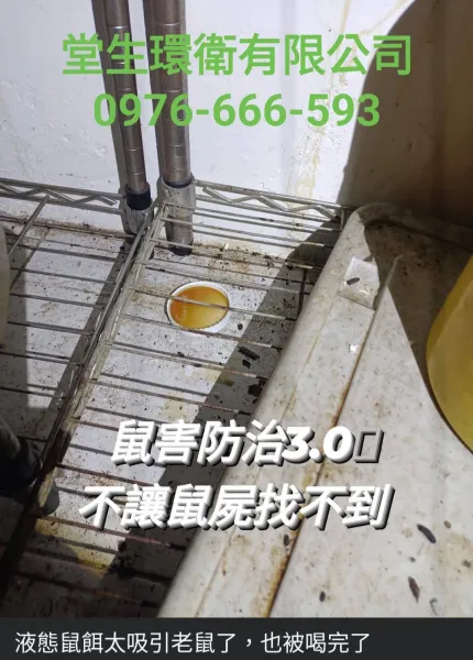 老鼠防治 |高雄老鼠防治公司| 高雄除老鼠推薦|鳳山除老鼠推薦