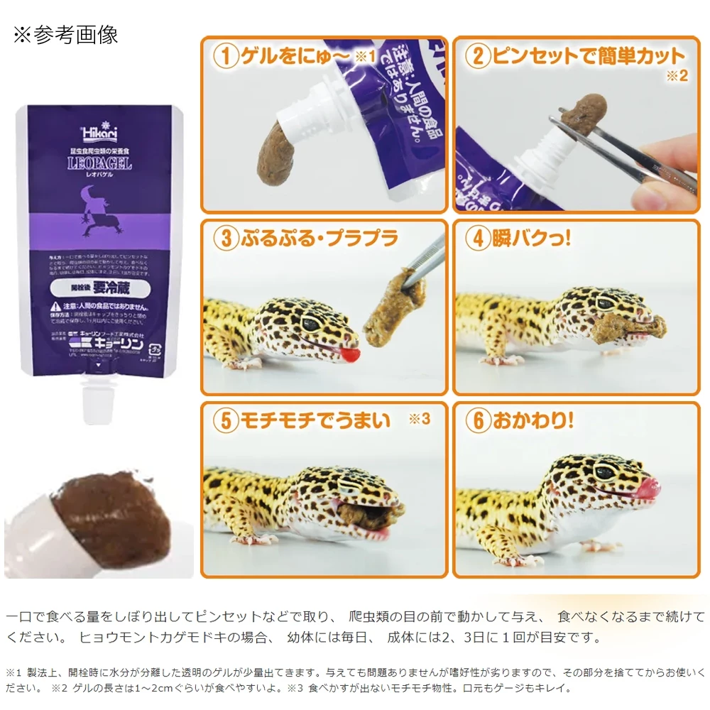 Hikari高夠力 食蟲性凝膠 爬蟲主食 兩爬專用 守宮主食 凝膠飼料
