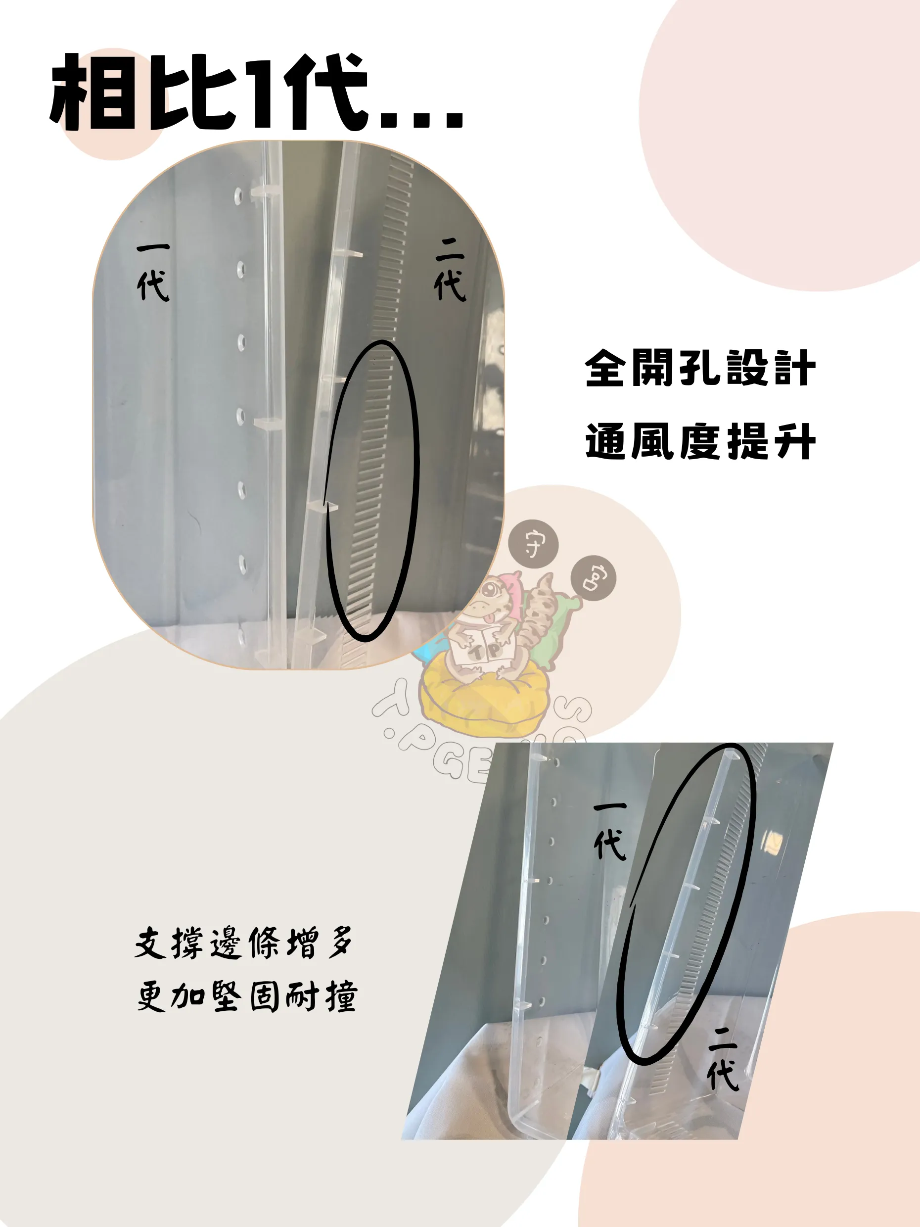 二代透明/黑色A6飼養盒 抽屜盒 守宮飼養盒 爬蟲盒 爬蟲櫃 守宮周邊 守宮用品 掌上明蛛