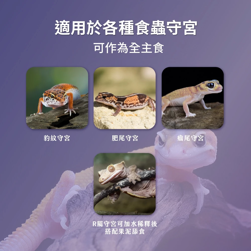 角落水族 守宮蟲泥飼料6g 守宮主食 飼料 杜比亞 蟋蟀 麵包蟲 黑水虻