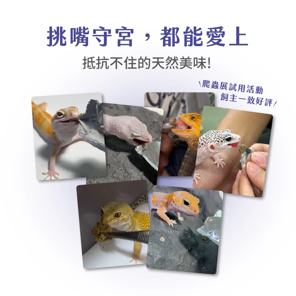 角落水族 守宮蟲泥飼料6g 守宮主食 飼料 杜比亞 蟋蟀 麵包蟲 黑水虻