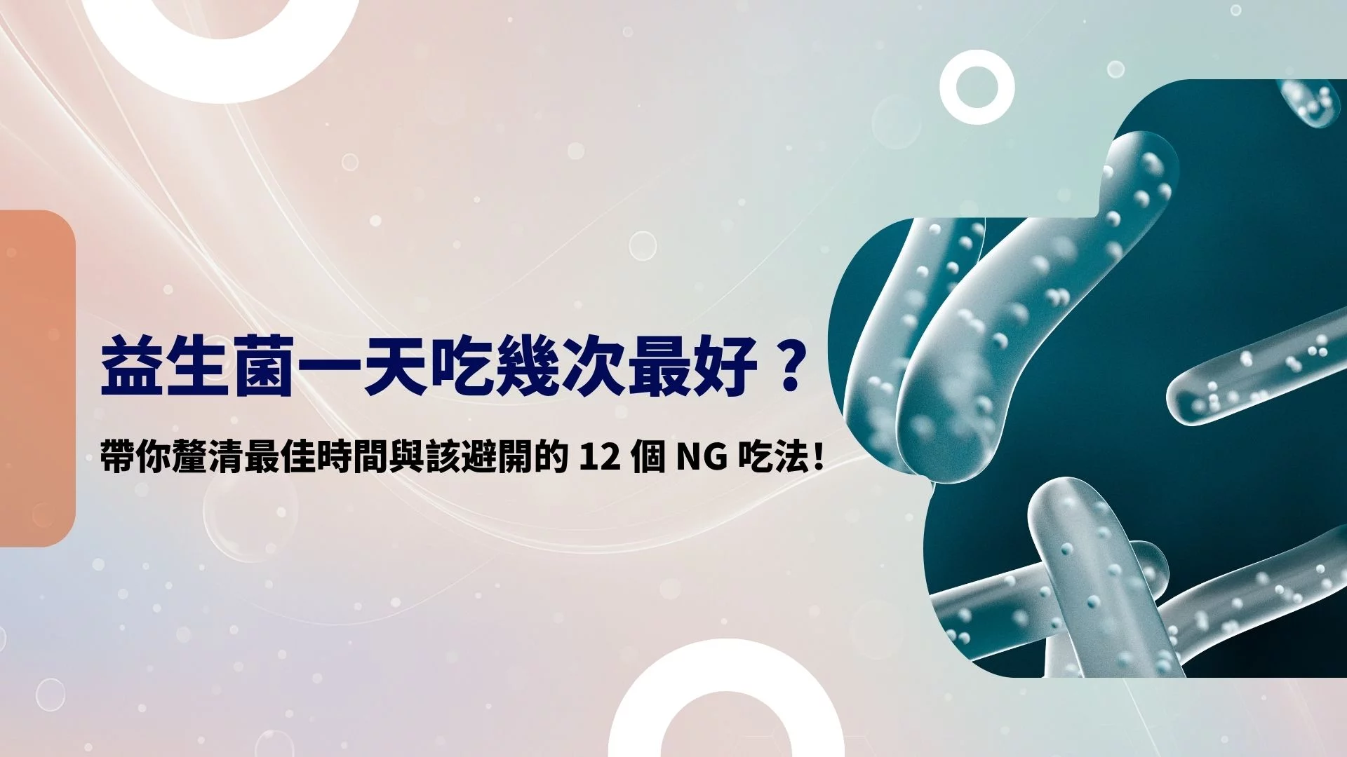 益生菌一天可以吃幾次？帶你釐清最佳時間與該避開的 12 個 NG 吃法