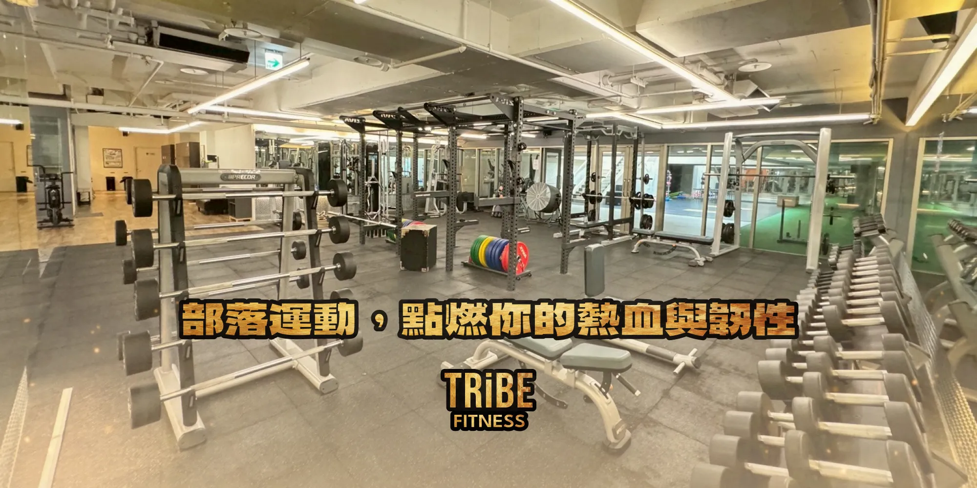 部落運動TribeFitness-健身房,健身場地出租,台中健身房,南屯健身房