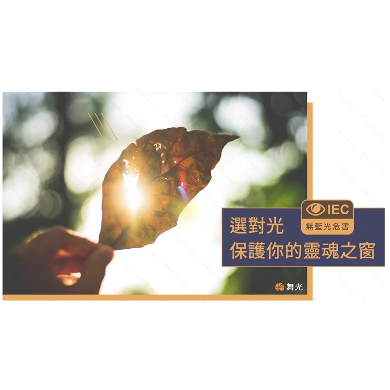 舞光｜LED E27 燈絲燈 復古燈泡 鎢絲燈泡 工業風 愛迪生 4W 6.5W 全電壓