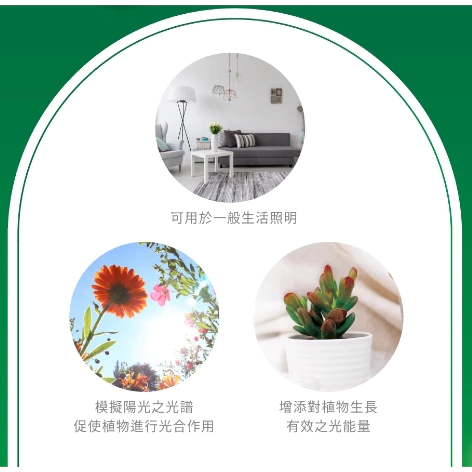 舞光 LED E27 24W 全光譜 PAR燈 植物燈泡 植物捕光燈 PAR38 多肉 植物生長燈