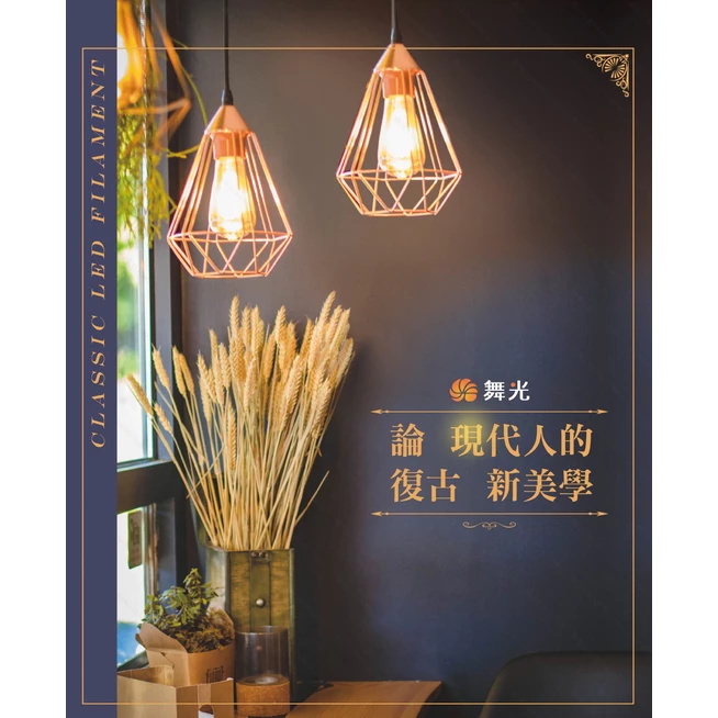舞光｜ LED 復古 燈絲燈 現貨 快速出貨 復古燈泡 情境 工業風 愛迪生 E27 6.5W 鎢絲燈泡