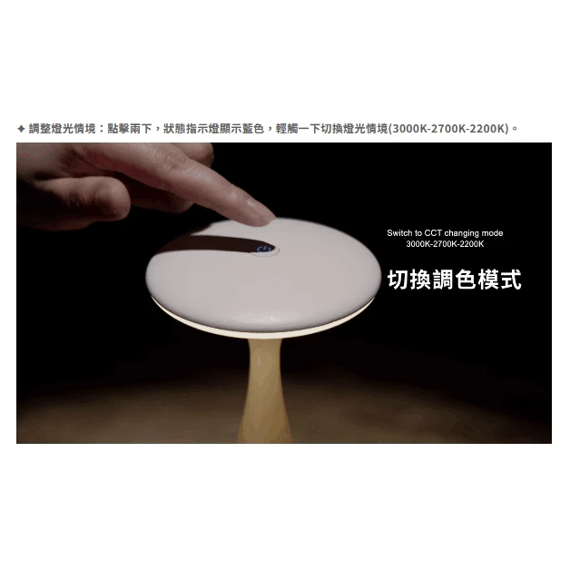 舞光 | LED 薄暮桌燈 簡約風格 小夜燈 一鍵調光開關 USB