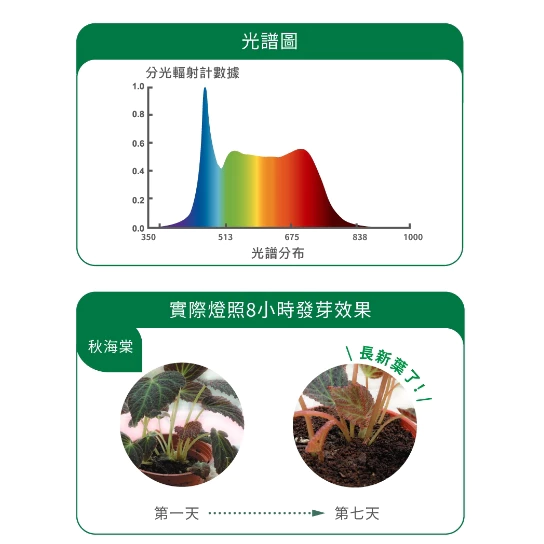 舞光 LED E27 24W 全光譜 PAR燈 植物燈泡 植物捕光燈 PAR38 多肉 植物生長燈