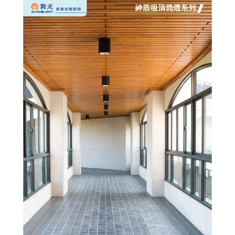 舞光｜LED 神盾 吸頂筒燈 高演色 商空照明 工業風 10W 20W 30W 40W 現貨