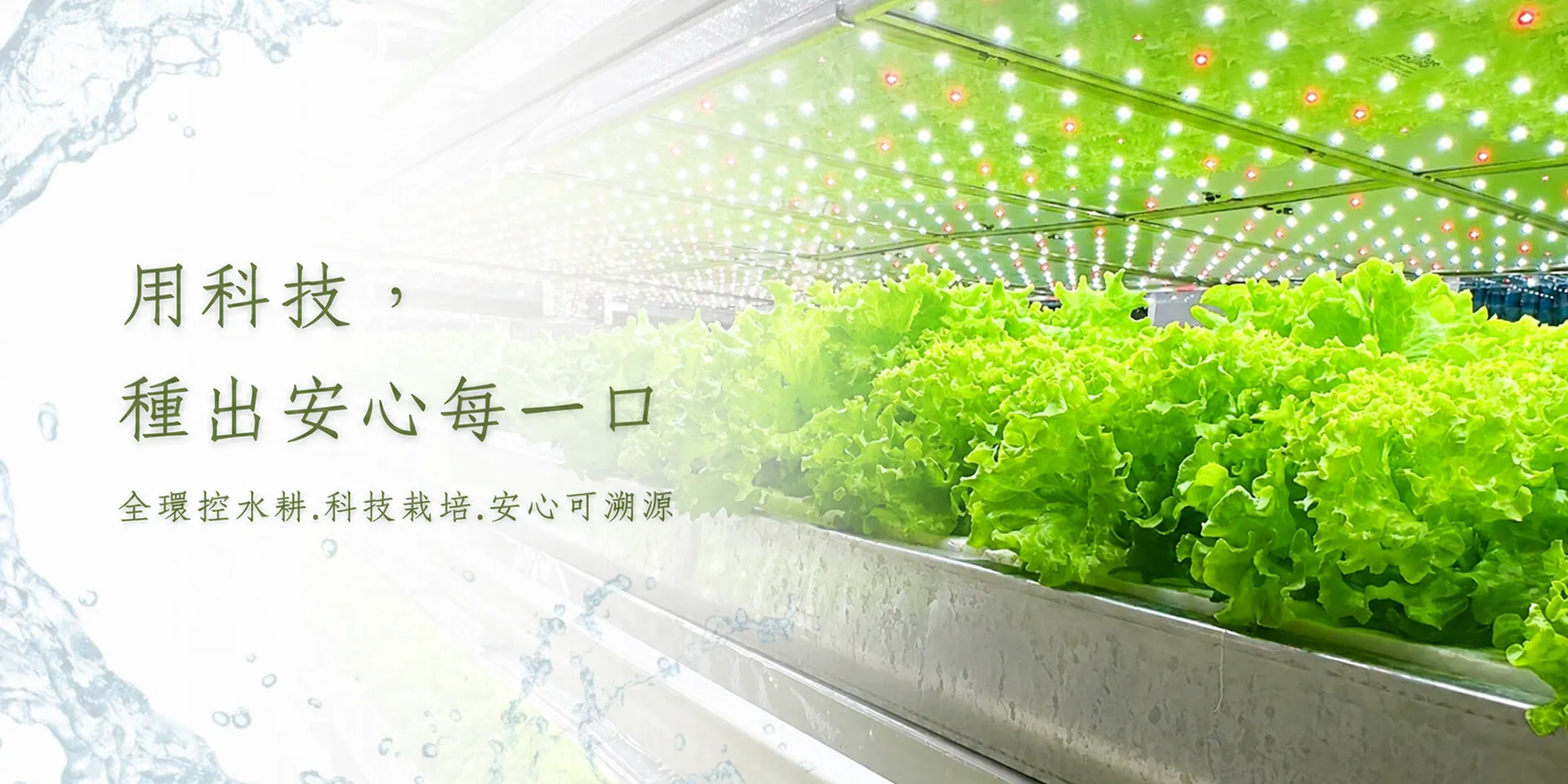 蔡季科農