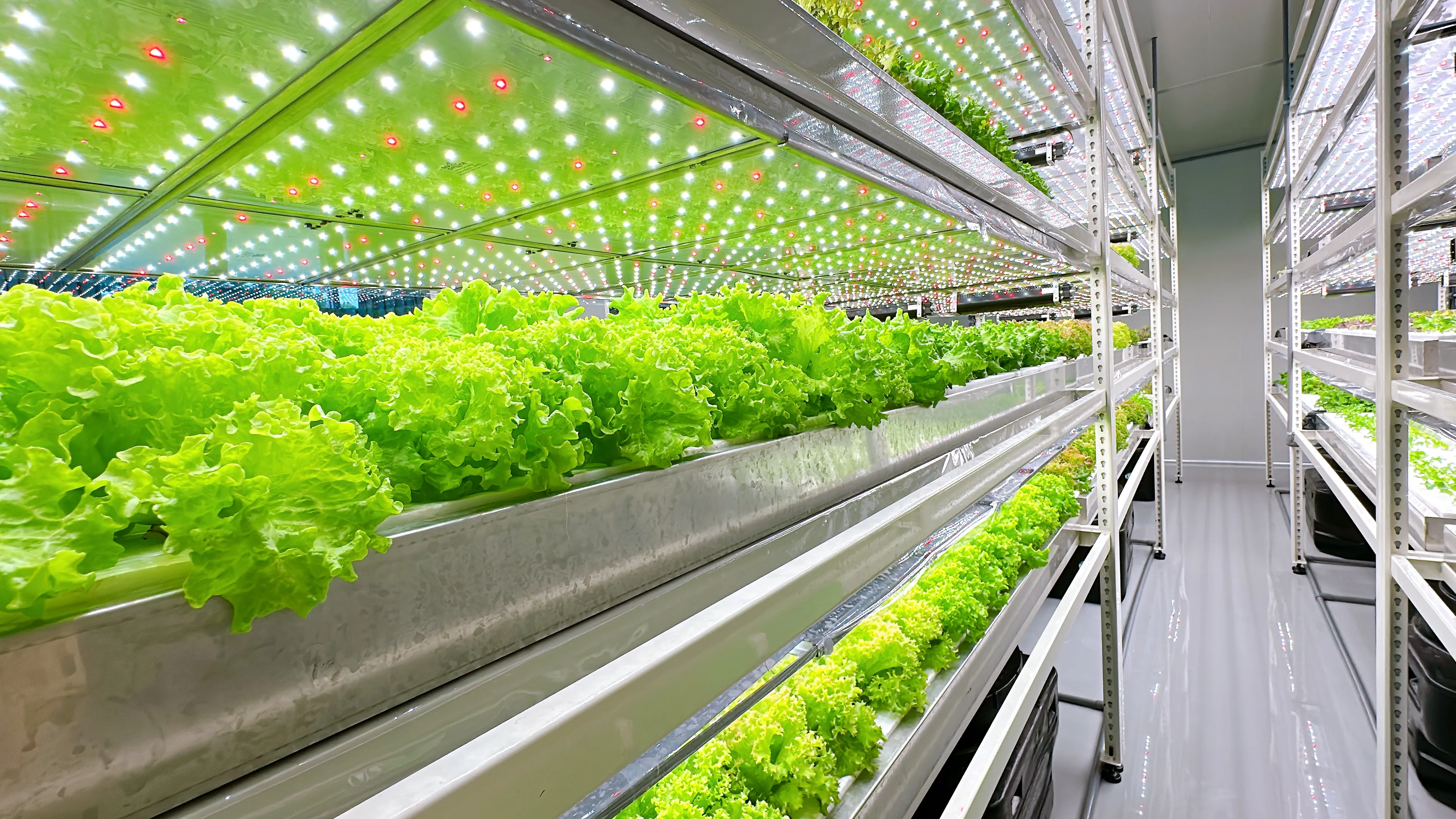 有提供宅配或外送嗎?