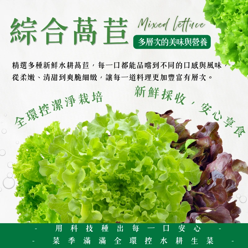 綜合萵苣｜每日輕鬆補充蔬菜力