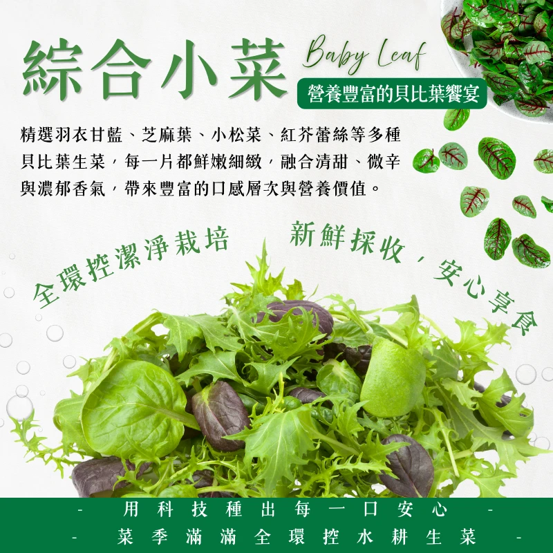 綜合小菜｜營養豐富的貝比葉饗宴