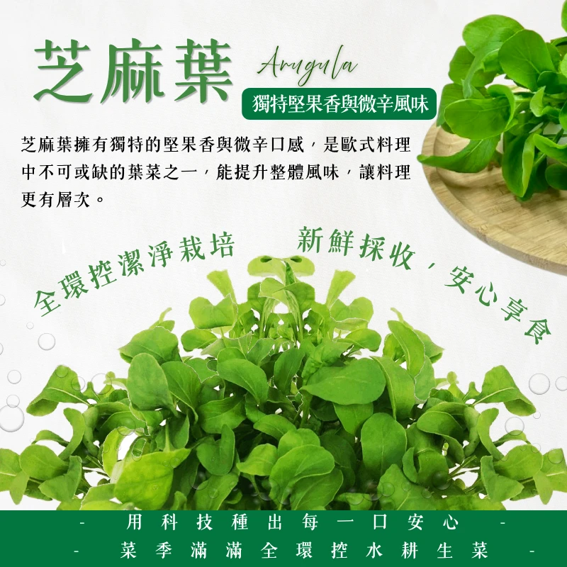 芝麻葉｜歐式香氣生菜
