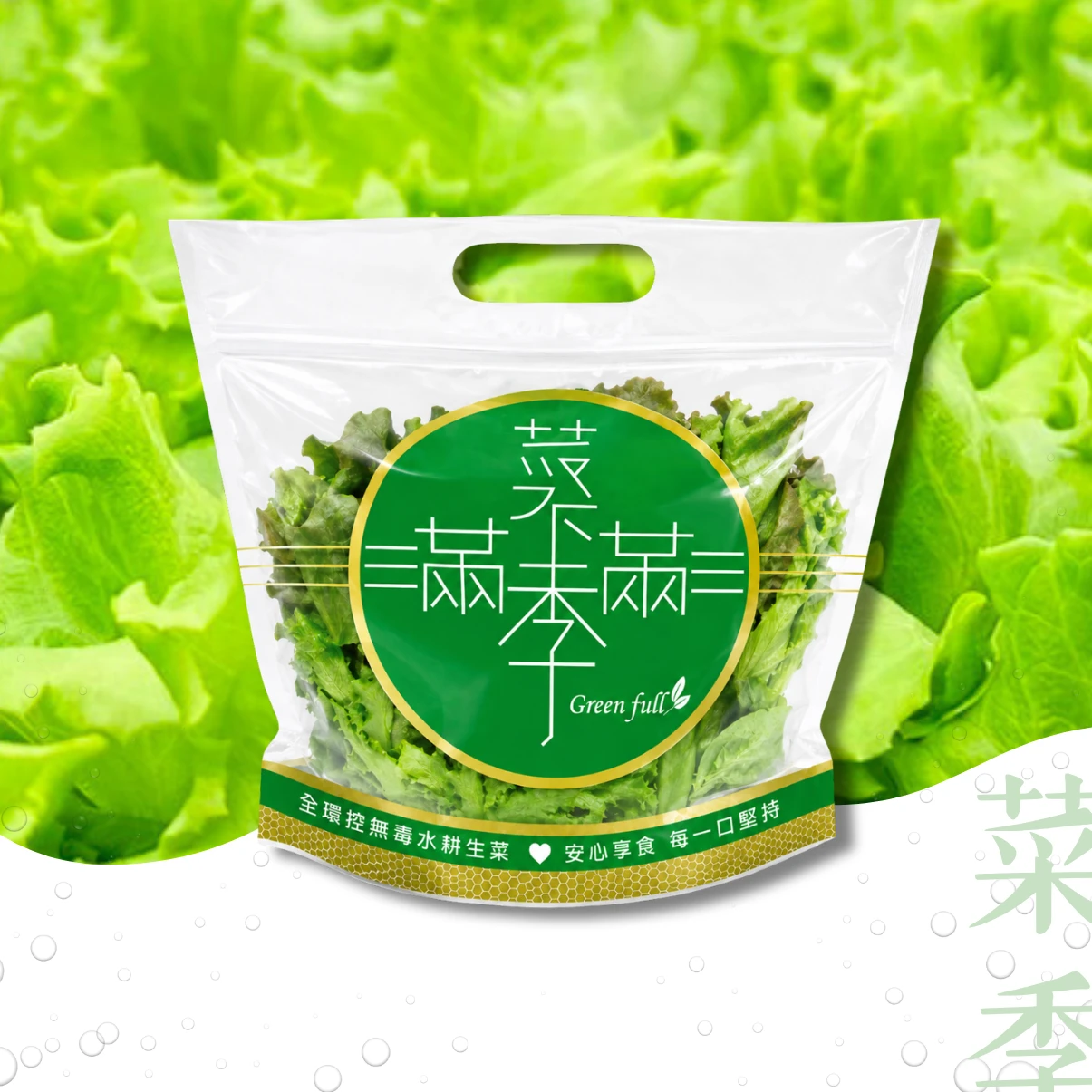 綜合萵苣